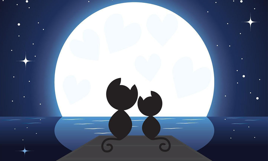 湘西潮客汇微信活动策划案例